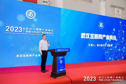 武漢互聯網產業峰會暨數字經濟產業高峰論壇圓滿舉行，引領企業網站創新與變革
