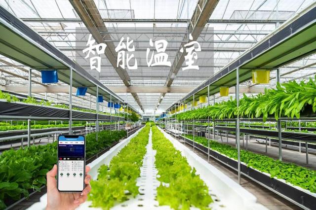 農(nóng)業(yè)物聯(lián)網(wǎng)賦能傳統(tǒng)大棚升級，手機管控溫濕度引領智能農(nóng)業(yè)新時代