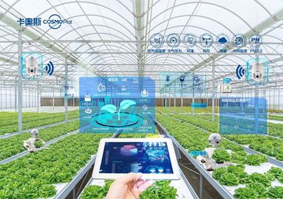 卡奧斯海優禾入選農業農村部信息中心優秀案例 科技點亮田間，智能管理賦能鄉村振興