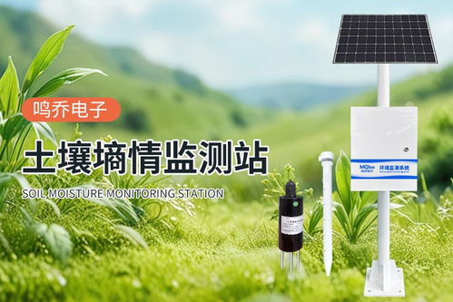 土壤墑情監測系統 農田的“智能聽診器”，賦能高效精準農業